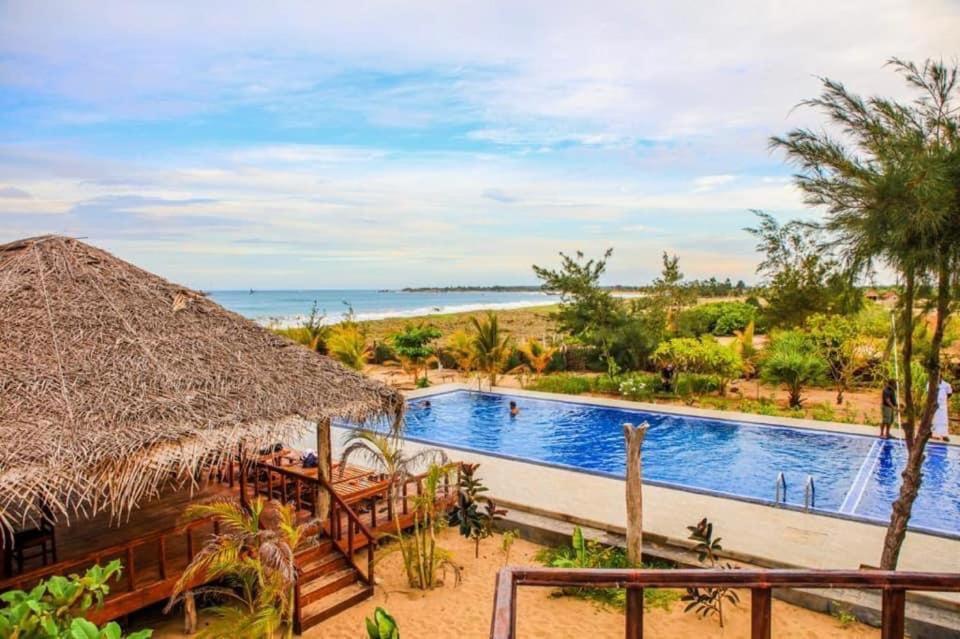Whisky Point Surf Cabana Аругам Бей Екстериор снимка