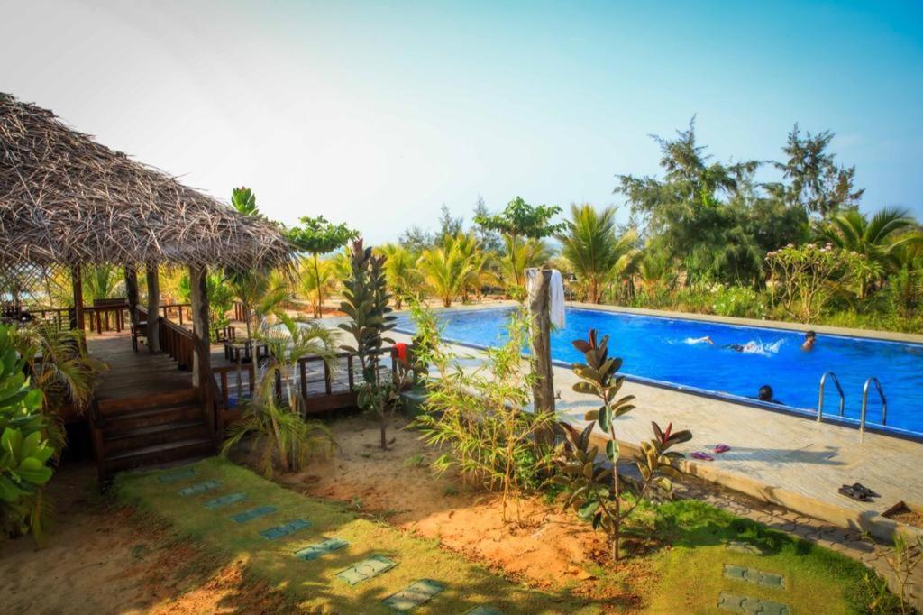Whisky Point Surf Cabana Аругам Бей Екстериор снимка
