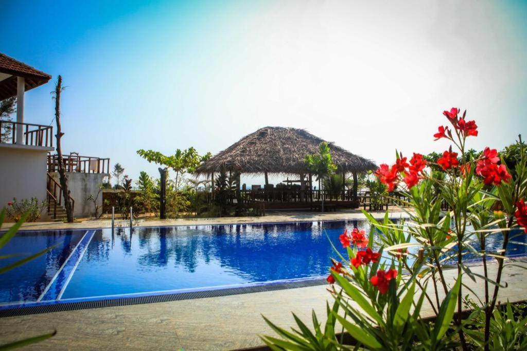 Whisky Point Surf Cabana Аругам Бей Екстериор снимка