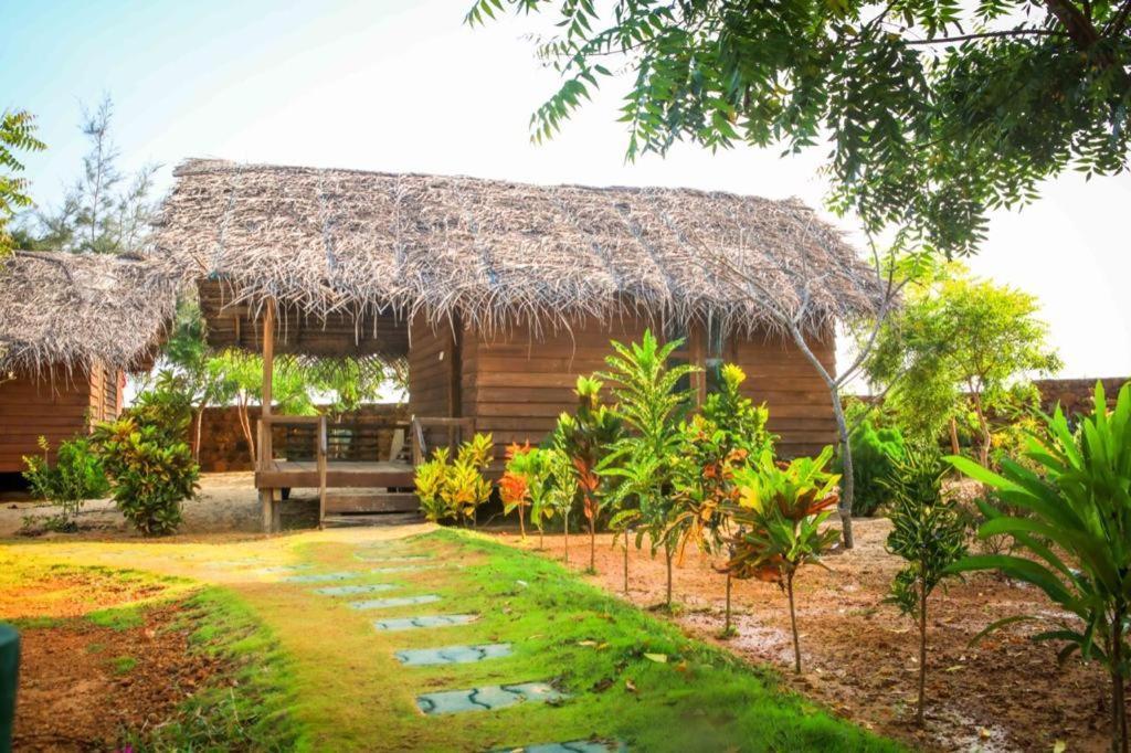 Whisky Point Surf Cabana Аругам Бей Екстериор снимка