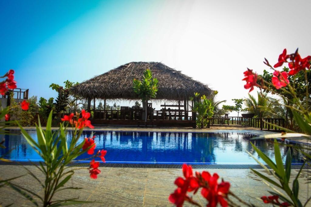 Whisky Point Surf Cabana Аругам Бей Екстериор снимка
